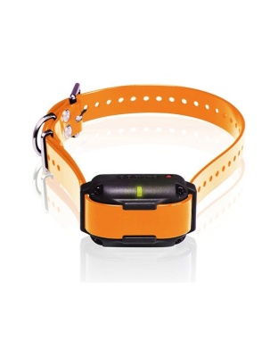 Dogtra Edge RT Trainer Extra Collar - Orange