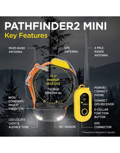 Dogtra PATHFINDER2 MINI Additional GPS Dog Tracking and Dog Training Collar - Green