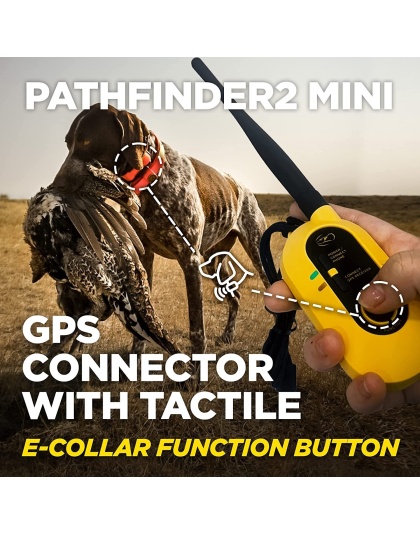 Dogtra PATHFINDER2 MINI Additional GPS Dog Tracking and Dog Training Collar - Green