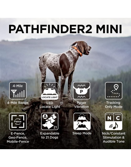 Dogtra PATHFINDER2 MINI Additional GPS Dog Tracking and Dog Training Collar - Green