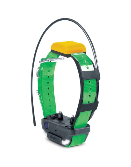 Dogtra Pathfinder 2  GPS Dog Tracker & Training Collar - Green
