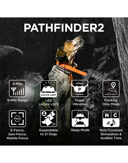 Dogtra Pathfinder 2  GPS Dog Tracker & Training Collar - Green