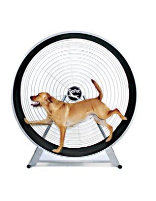 GoPet TreadWheel For Large Dogs