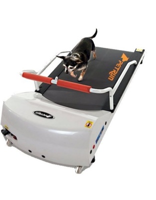 PetRun PR700 Dog Treadmill