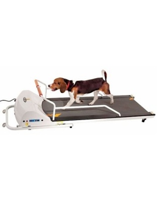 PetRun PR720F Dog Treadmill