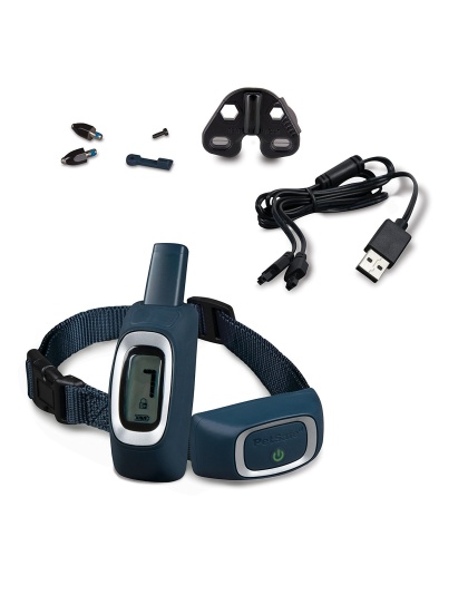 PetSafe 100 Yard Standard Remote Trainer