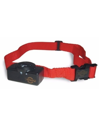 Standard Bark Collar