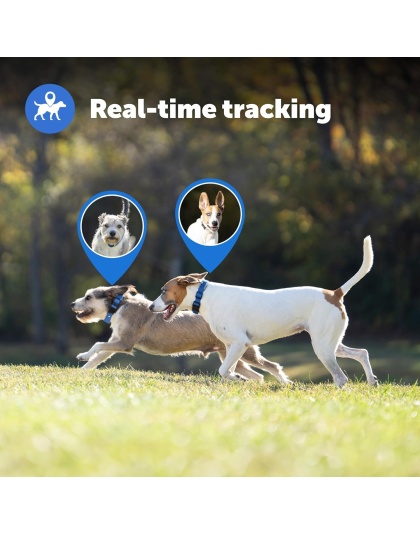 PetSafe Guardian GPS + Tracking Dog Fence Collar ? Wireless Dog Fence with Real-Time Tracking