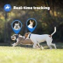 PetSafe Guardian GPS + Tracking Dog Fence Collar ? Wireless Dog Fence with Real-Time Tracking
