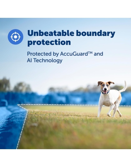 PetSafe Guardian GPS + Tracking Dog Fence Collar ? Wireless Dog Fence with Real-Time Tracking