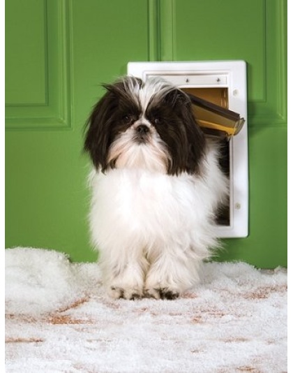 PetSafe Extreme Weather Pet Door - Small