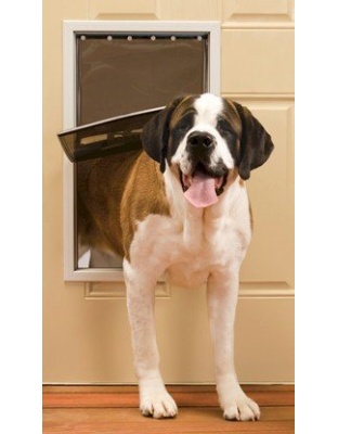 PetSafe Freedom Pet Door - Extra Large