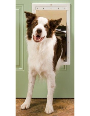 PetSafe Plastic Dog Door - Large