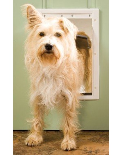 PetSafe Plastic Dog Door - Medium