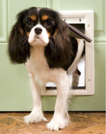 PetSafe Plastic Dog Door - Small