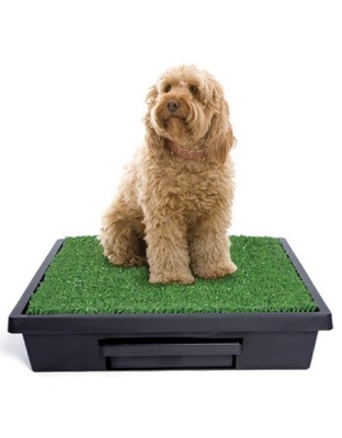 Pet Loo Potty Training System - Large