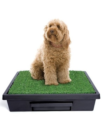 Pet Loo Potty Training System - Large