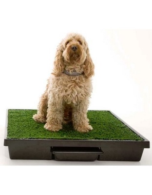 Pet Loo Potty Training System - Medium