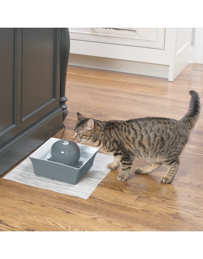 PetSafe Drinkwell Seascape Ceramic Dog and Cat Water Fountain