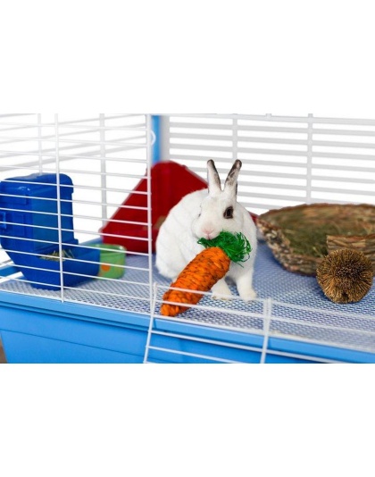Prevue Pet Products Grassy Nibblers Carrot - 1082