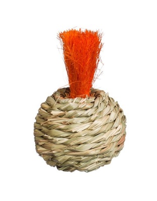 Prevue Pet Products Grassy Nibblers Squash - 1080