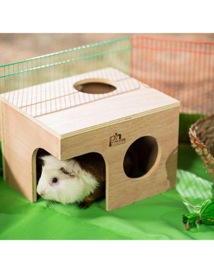 Prevue Pet Products Guinea Pig Hut - 1122