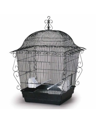 Elegant Scrollwork Bird Cage - White