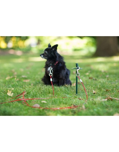 Prevue Pet Products 24 Inch Tie-out Dome Stake with 12 Foot Cable