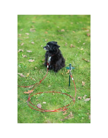 Prevue Pet Products 24 Inch Tie-out Dome Stake with 12 Foot Cable
