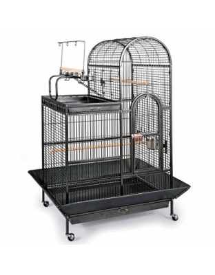 Deluxe Parrot Dometop Cage with Playtop