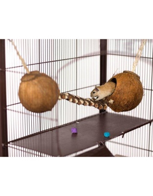 Prevue Pet Products Double Coconut with Ladder - 62818