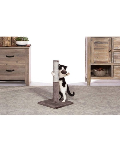Prevue Pet Products Kitty Power Paws Play & Scratch