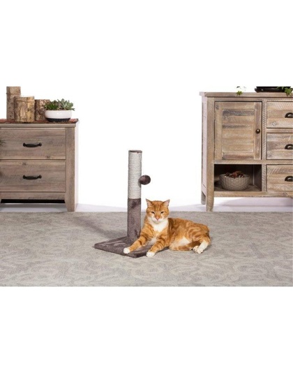 Prevue Pet Products Kitty Power Paws Play & Scratch