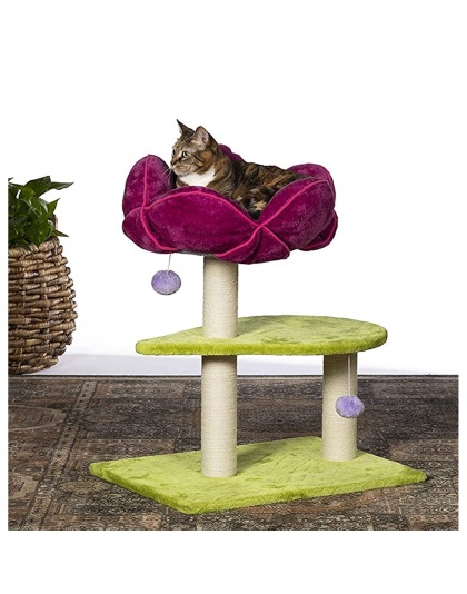 Prevue Pet Products Flower Power
