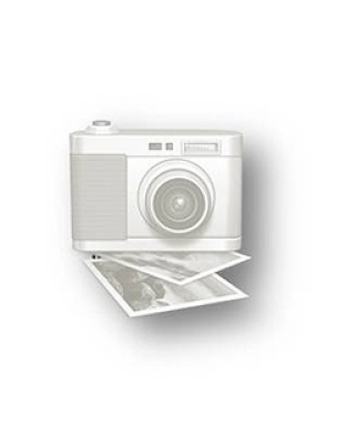 PetSafe Deluxe Radio Fence Without Wire