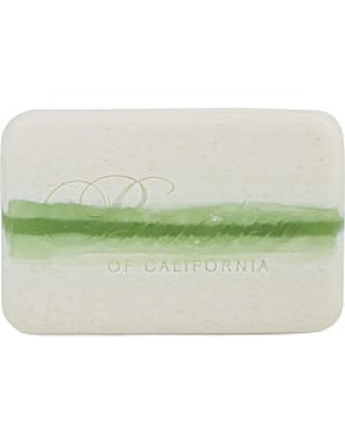 Baxter of California by Baxter of California