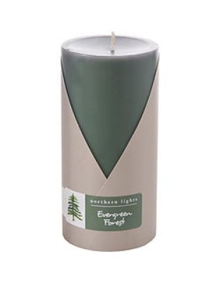 EVERGREEN FOREST by Northern Lights