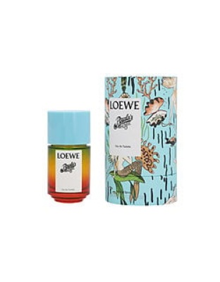 LOEWE PAULA'S IBIZA by Loewe