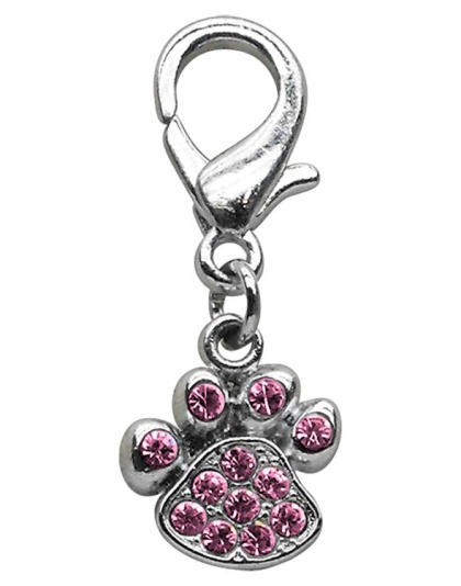 Lobster Claw Paw Charm Pink