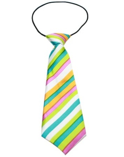 Big Dog Neck Tie Funky Stripes