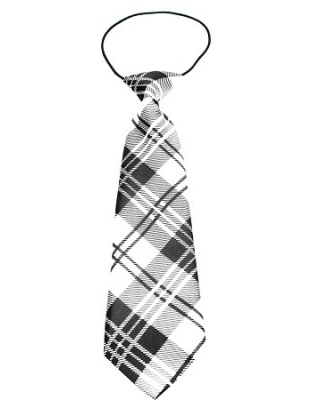 Big Dog Neck Tie Plaid White