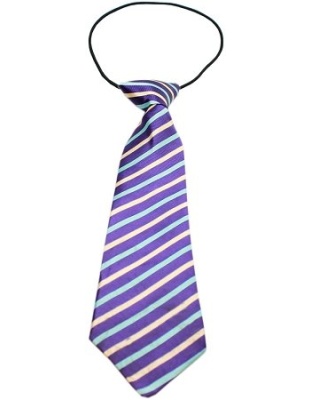 Big Dog Neck Tie Purple and Aqua Stripes