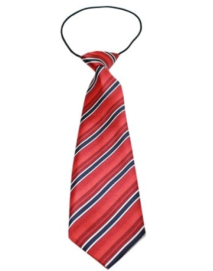 Big Dog Neck Tie Shades of Red