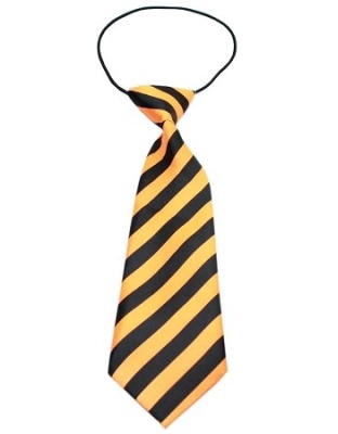 Big Dog Neck Tie Striped Orange