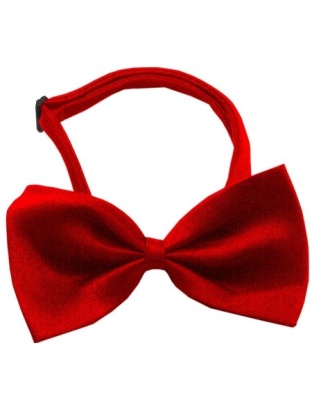 Plain Red Bow Tie