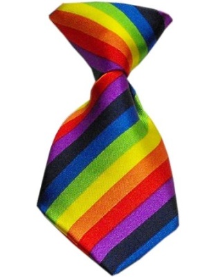 Dog Neck Tie Rainbow