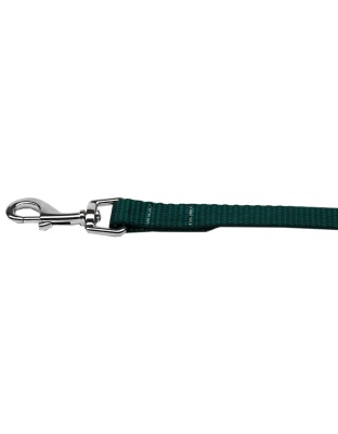 Plain Nylon Pet Leash 1in by 4ft Green