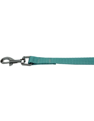 Plain Nylon Pet Leash 1in by 4ft Ocean Blue