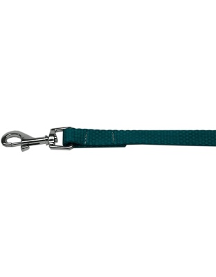 Plain Nylon Pet Leash 1in by 4ft Teal