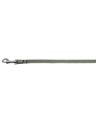 Preppy Stripes Nylon Ribbon Collars Green/White 3/8 wide 4Ft Lsh